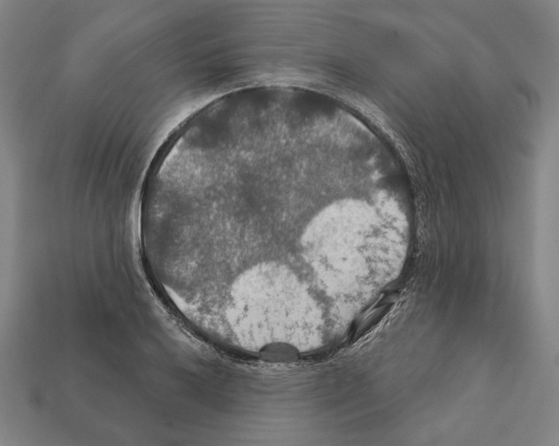 X0000112021032200909141032