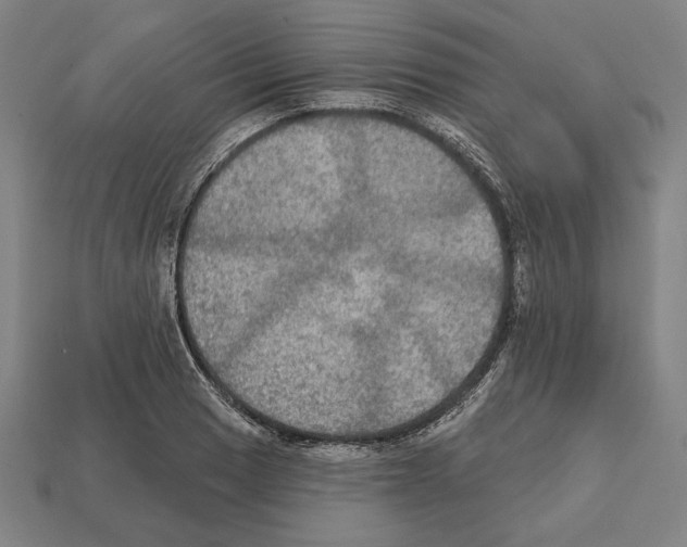 X0000112021033200909141032