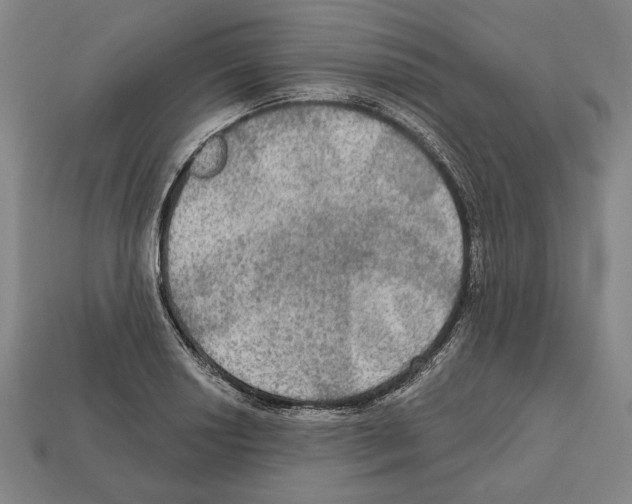 X0000112021034200909141032