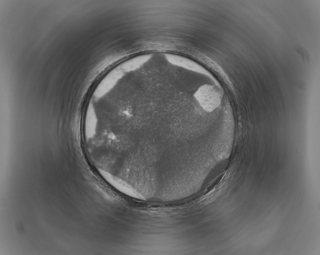 X0000112021035200909141032