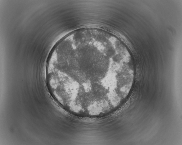 X0000112021036200909141032