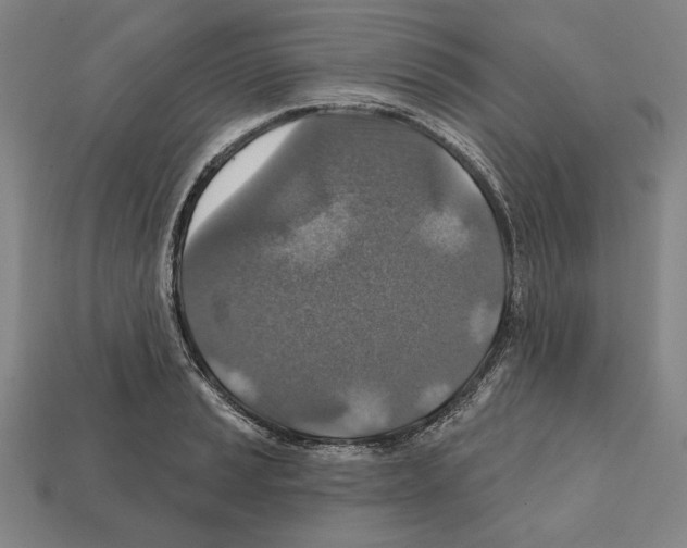 X0000112021037200909141032