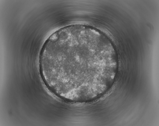 X0000112021038200909141032