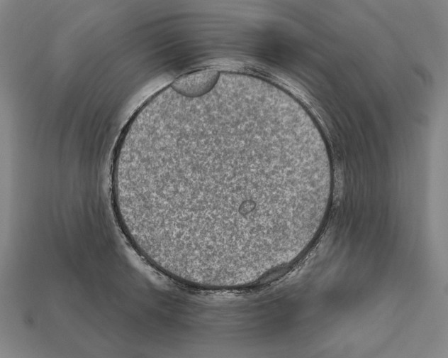 X0000112021042200909141032