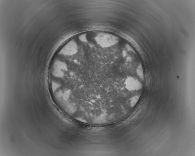 X0000112021043200909141032