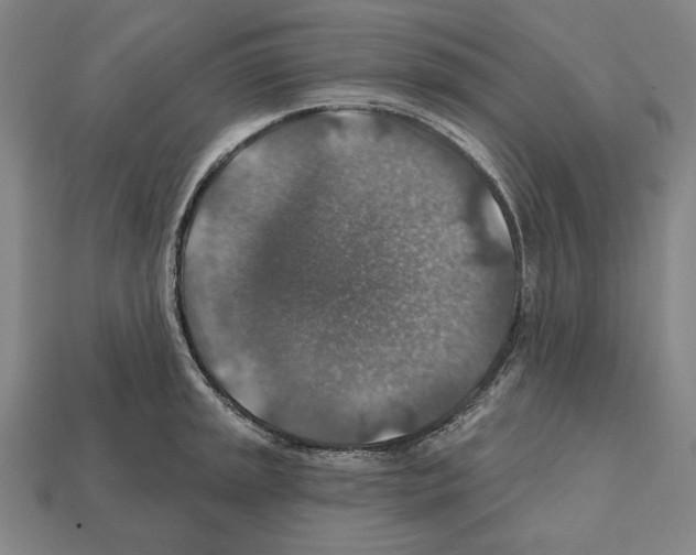 X0000112021045200909141032