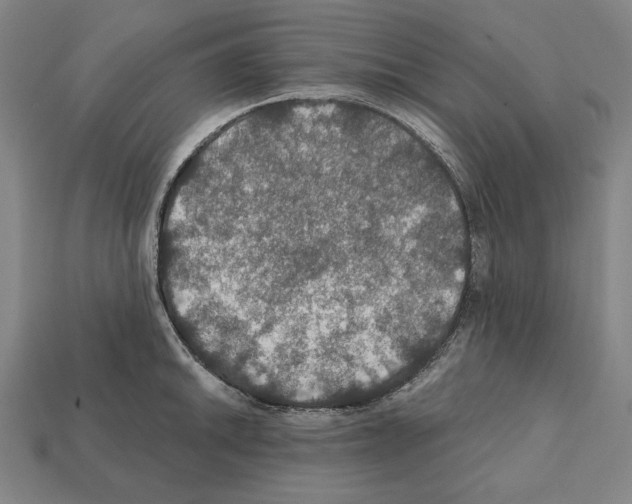 X0000112021046200909141032