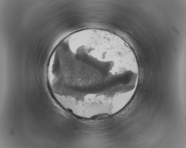 X0000112021048200909141032