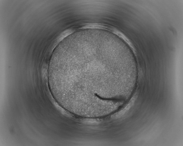 X0000112021049200909141032