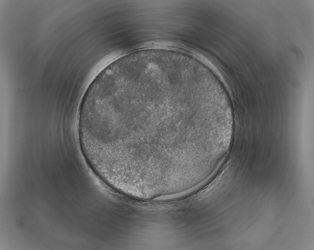 X0000112021050200909141032