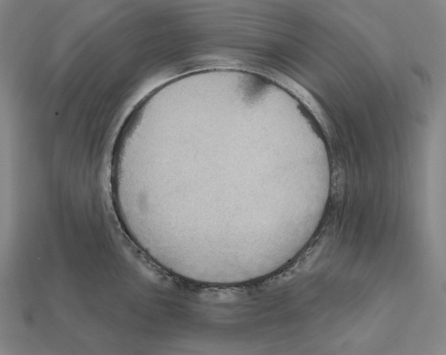 X0000112021051200909141032