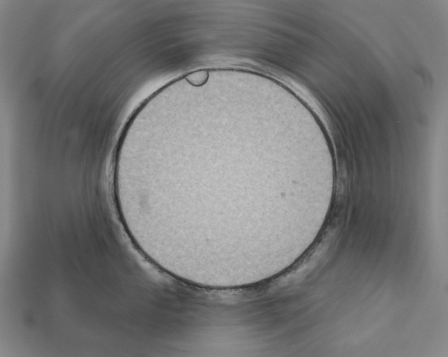 X0000112021053200909141032