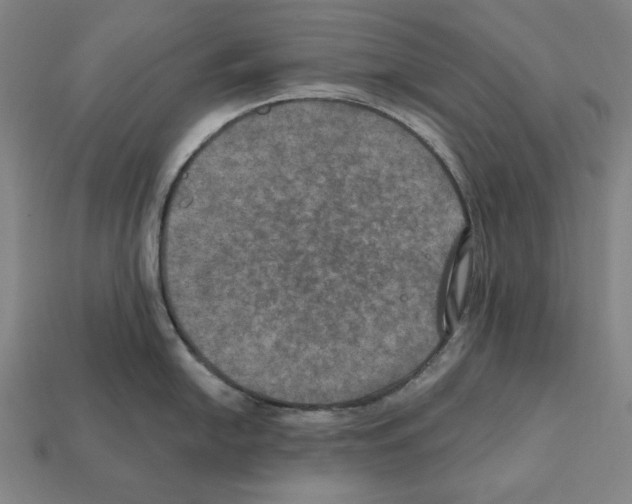 X0000112021054200909141032