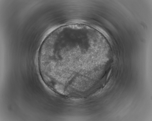 X0000112021055200909141032