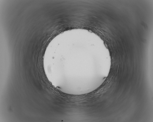 X0000112021057200909141031