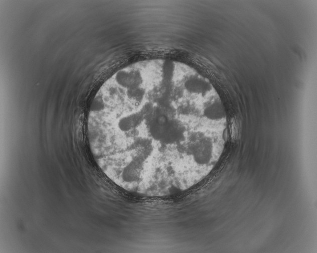 X0000112021059200909141031