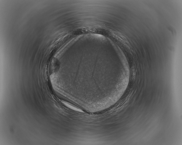 X0000112021060200909141031