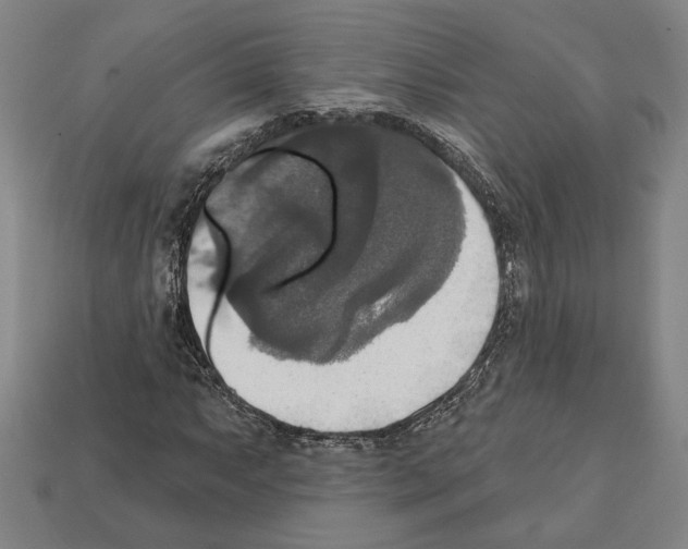 X0000112021063200909141031