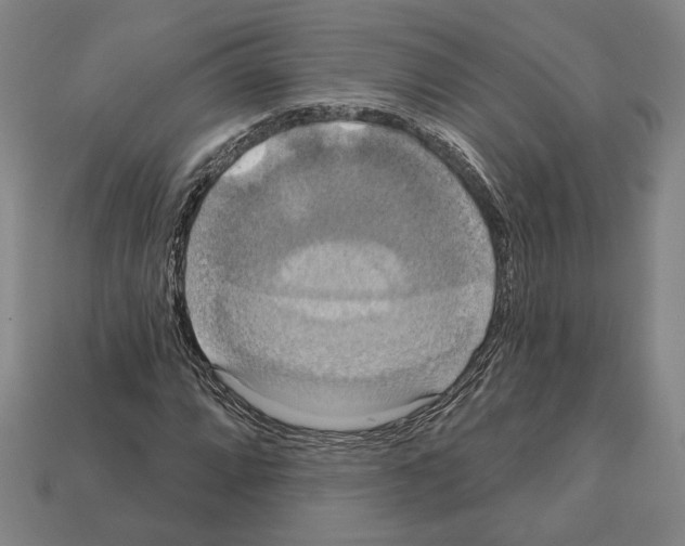 X0000112021064200909141031