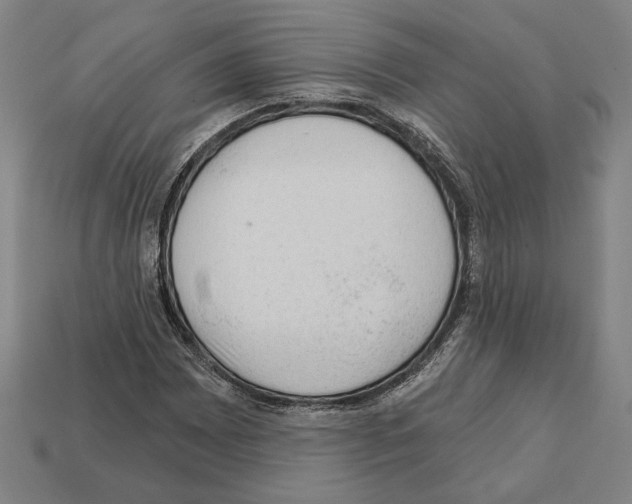 X0000112021065200909141031