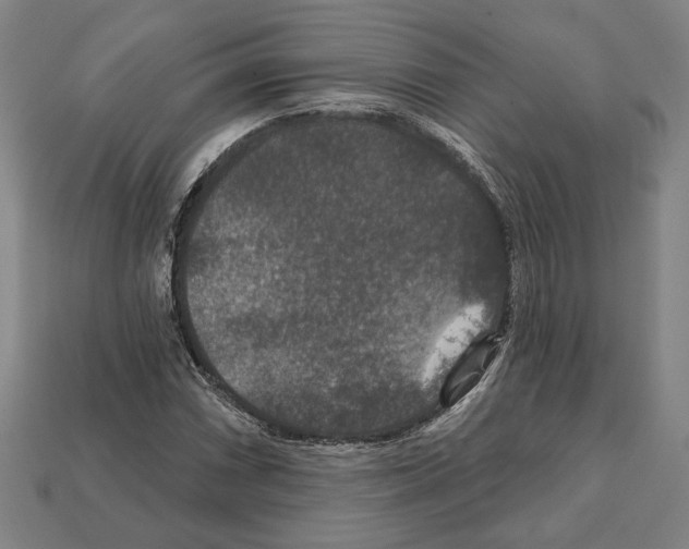 X0000112021066200909141031