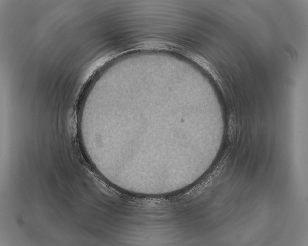 X0000112021067200909141031