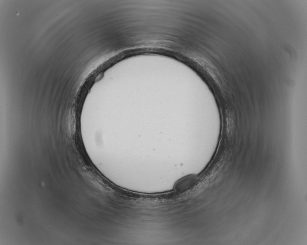 X0000112021069200909141031