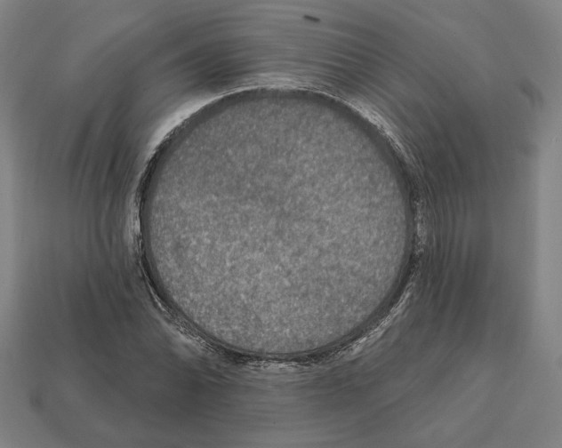 X0000112021070200909141031