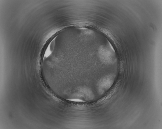 X0000112021071200909141031