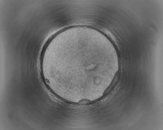 X0000112021072200909141031