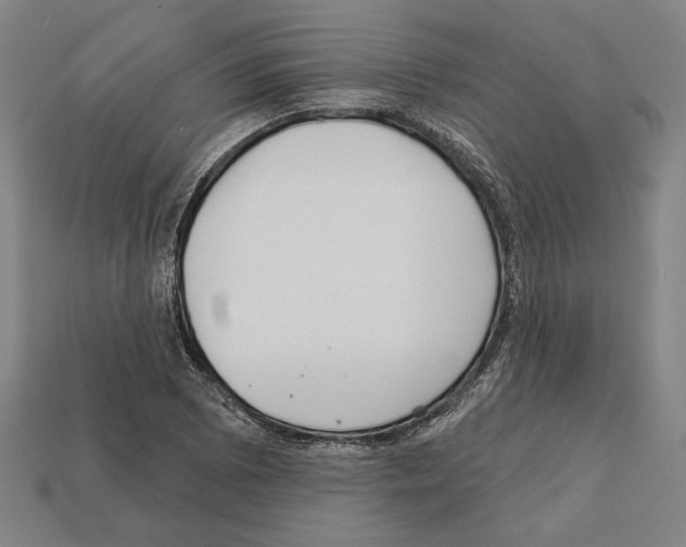 X0000112021073200909141031