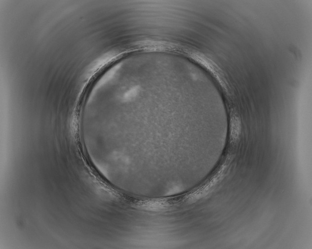 X0000112021074200909141031