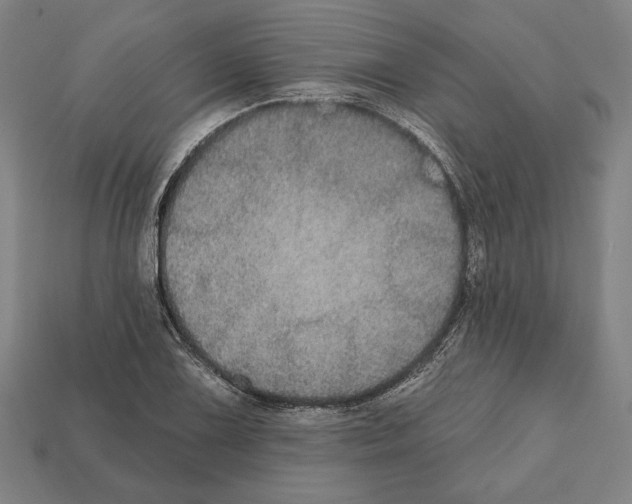 X0000112021075200909141031