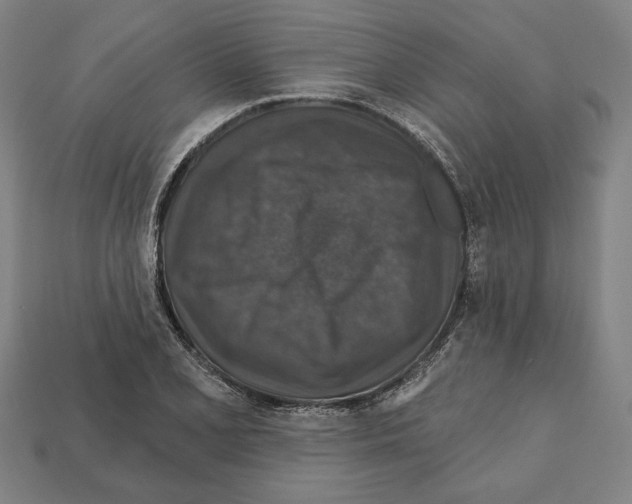 X0000112021077200909141031