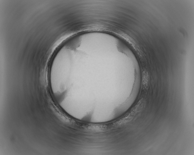 X0000112021078200909141031