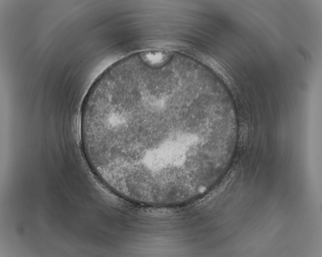 X0000112021079200909141031