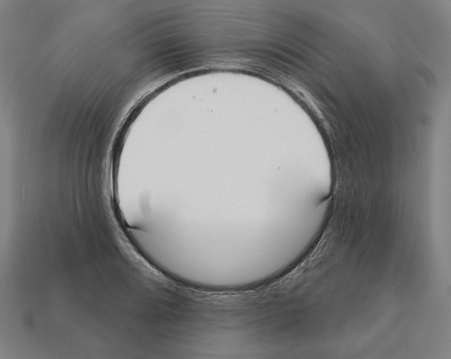 X0000112021080200909141031