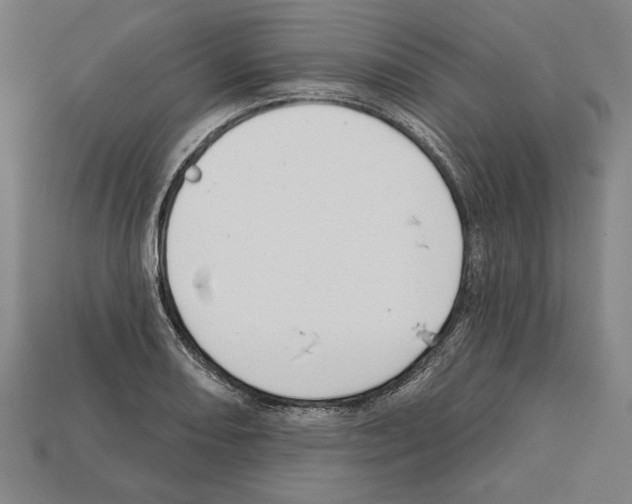 X0000112021082200909141031