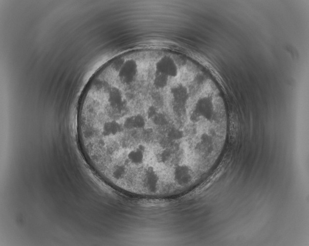 X0000112021083200909141031