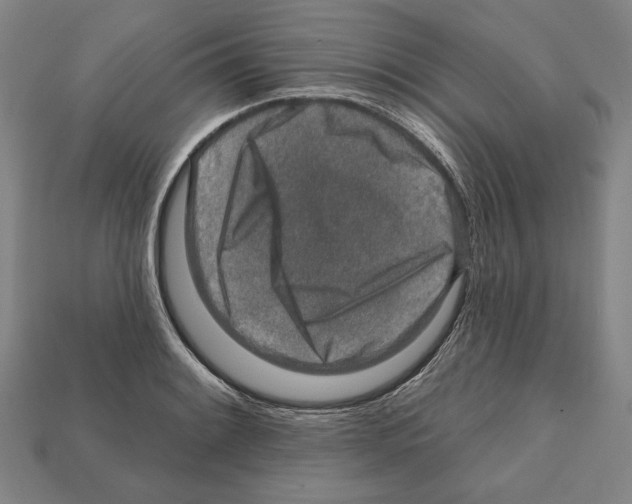 X0000112021084200909141031