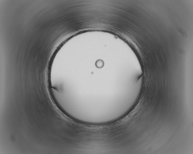 X0000112021085200909141031