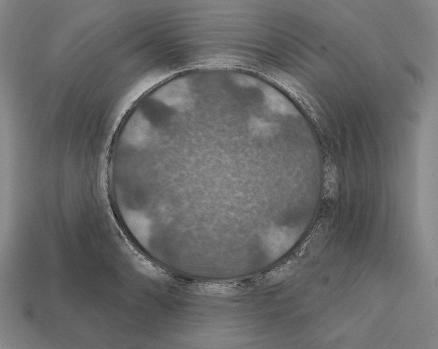 X0000112021086200909141031