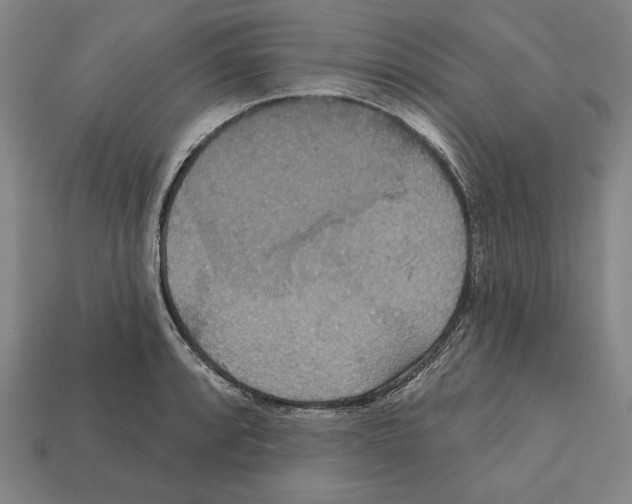 X0000112021088200909141031