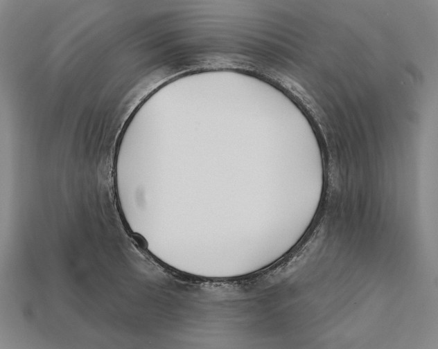 X0000112021089200909141031