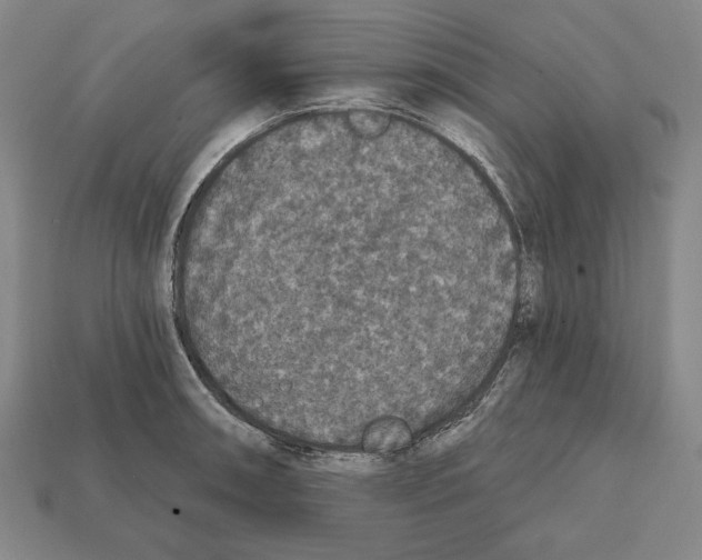 X0000112021090200909141031