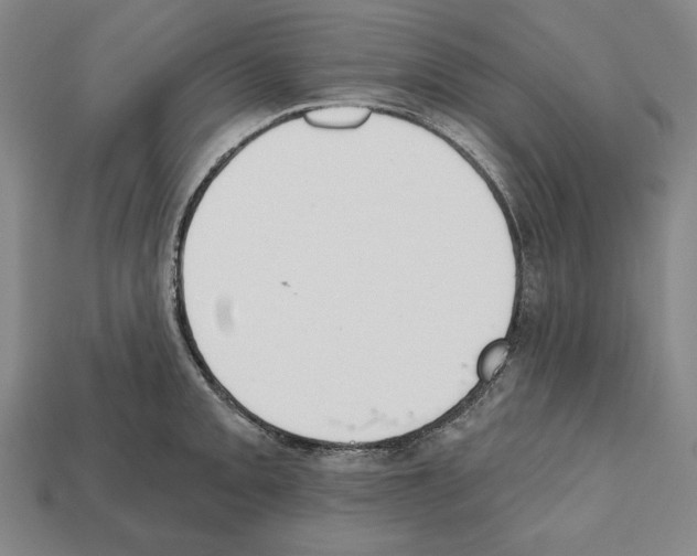 X0000112021093200909141031