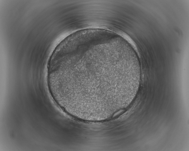 X0000112021096200909141031