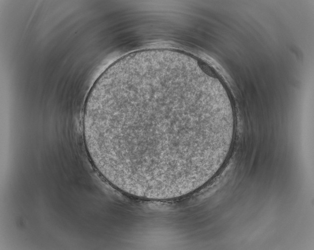 X0000112021097200909141031