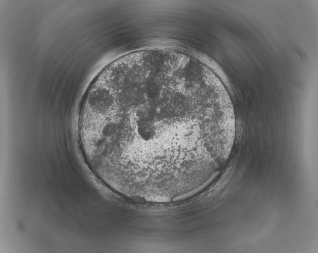 X0000112021099200909141031