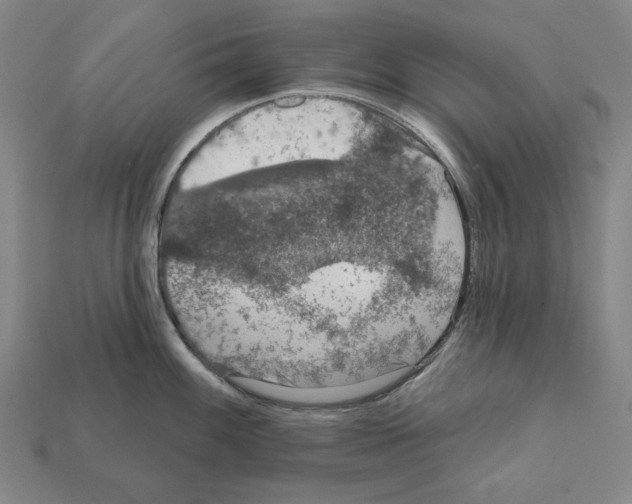 X0000112021100200909141031